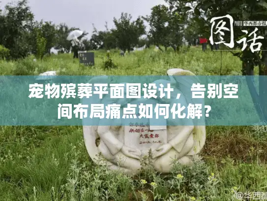 宠物殡葬平面图设计，告别空间布局痛点如何化解？
