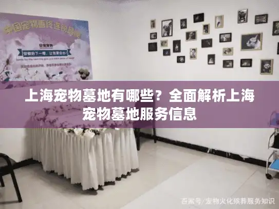 上海宠物墓地有哪些？全面解析上海宠物墓地服务信息