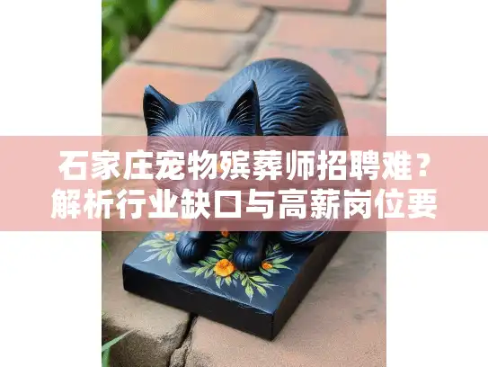 石家庄宠物殡葬师招聘难？解析行业缺口与高薪岗位要求