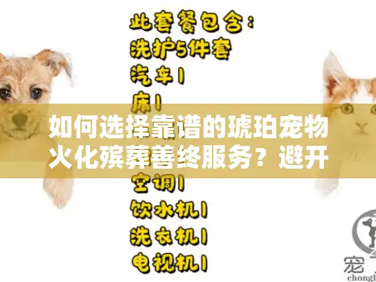 如何选择靠谱的琥珀宠物火化殡葬善终服务？避开这些坑才算安心告别