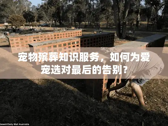 宠物殡葬知识服务，如何为爱宠选对最后的告别？