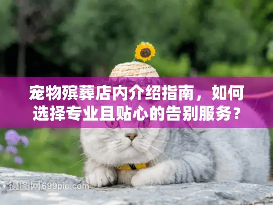 宠物殡葬店内介绍指南，如何选择专业且贴心的告别服务？