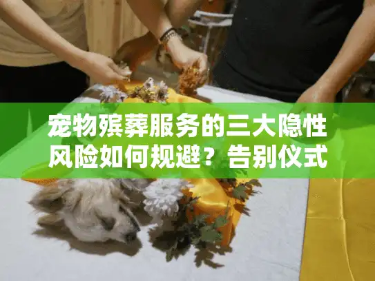 宠物殡葬服务的三大隐性风险如何规避？告别仪式背后的陷阱解析