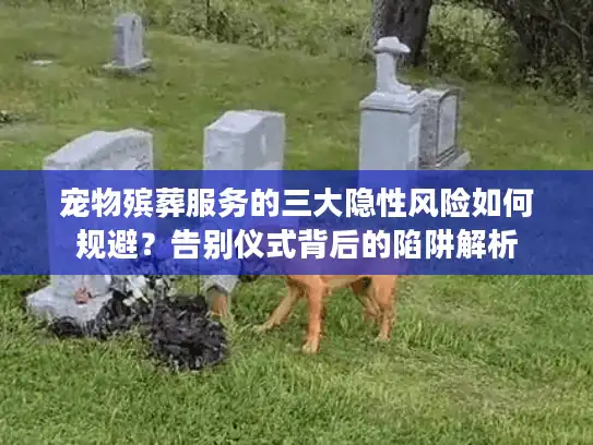宠物殡葬服务的三大隐性风险如何规避？告别仪式背后的陷阱解析