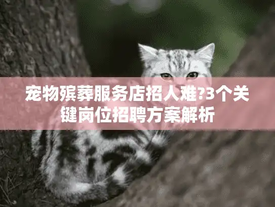 宠物殡葬服务店招人难?3个关键岗位招聘方案解析