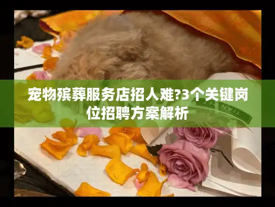 宠物殡葬服务店招人难?3个关键岗位招聘方案解析