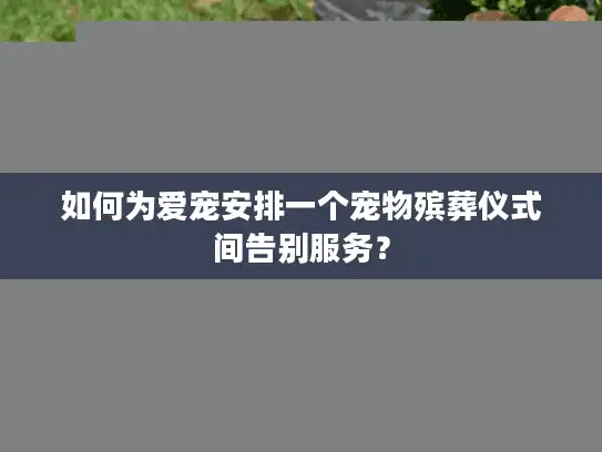 如何为爱宠安排一个宠物殡葬仪式间告别服务？