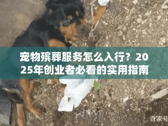 宠物殡葬服务怎么入行？2025年创业者必看的实用指南