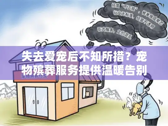 失去爱宠后不知所措？宠物殡葬服务提供温暖告别指南