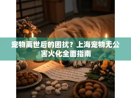 宠物离世后的困扰？上海宠物无公害火化全面指南