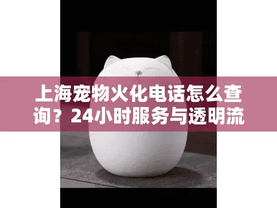 上海宠物火化电话怎么查询？24小时服务与透明流程指南