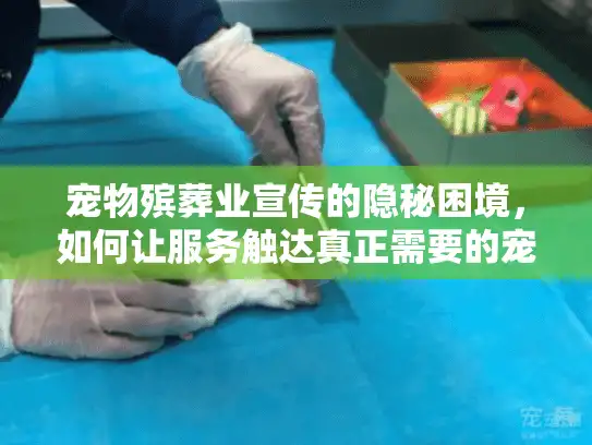 宠物殡葬业宣传的隐秘困境，如何让服务触达真正需要的宠物主人？