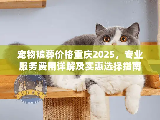 宠物殡葬价格重庆2025，专业服务费用详解及实惠选择指南
