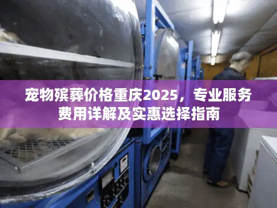 宠物殡葬价格重庆2025，专业服务费用详解及实惠选择指南