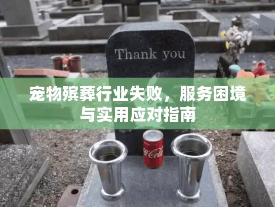 宠物殡葬行业失败，服务困境与实用应对指南