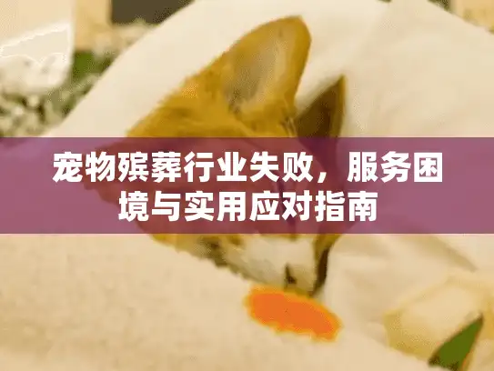 宠物殡葬行业失败，服务困境与实用应对指南