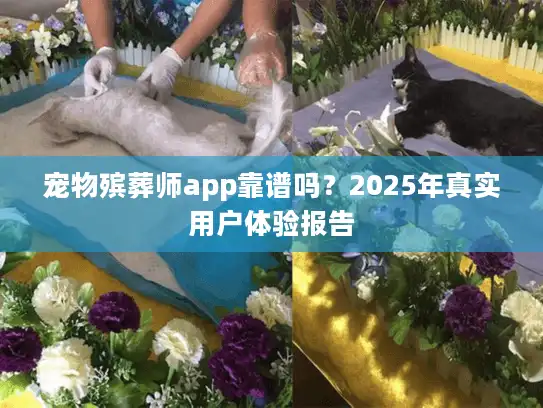 宠物殡葬师app靠谱吗？2025年真实用户体验报告