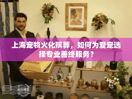 上海宠物火化殡葬，如何为爱宠选择专业善终服务？