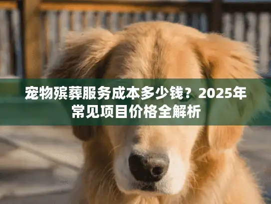 宠物殡葬服务成本多少钱？2025年常见项目价格全解析