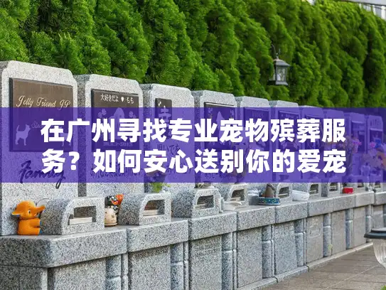在广州寻找专业宠物殡葬服务？如何安心送别你的爱宠？