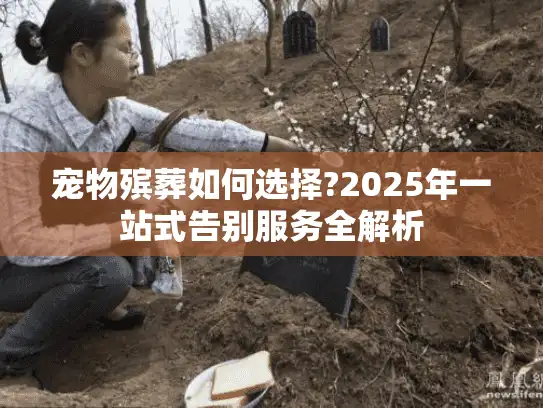 宠物殡葬如何选择?2025年一站式告别服务全解析