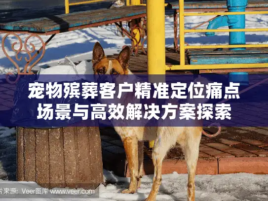 宠物殡葬客户精准定位痛点场景与高效解决方案探索