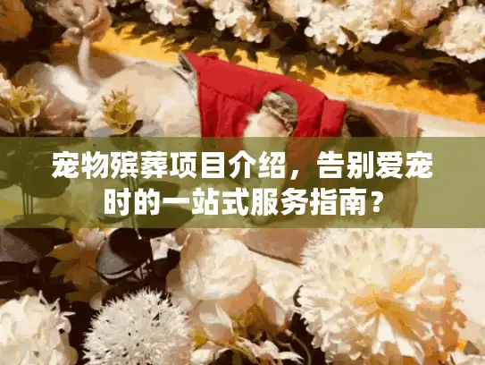 宠物殡葬项目介绍，告别爱宠时的一站式服务指南？