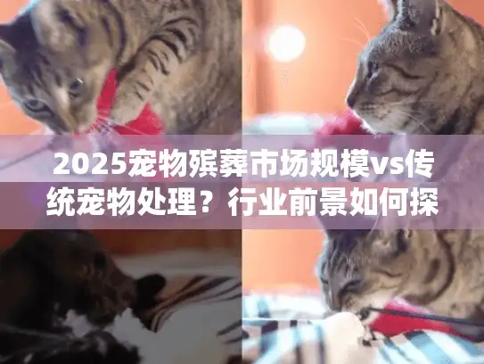 2025宠物殡葬市场规模vs传统宠物处理？行业前景如何探索