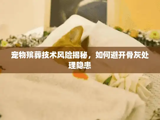 宠物殡葬技术风险揭秘，如何避开骨灰处理隐患