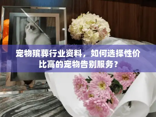 宠物殡葬行业资料，如何选择性价比高的宠物告别服务？