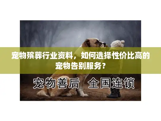 宠物殡葬行业资料，如何选择性价比高的宠物告别服务？