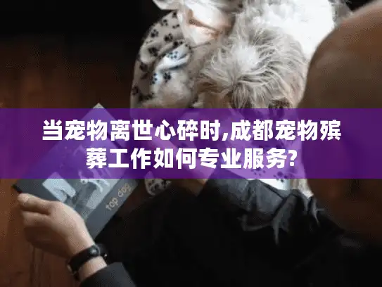 当宠物离世心碎时,成都宠物殡葬工作如何专业服务?