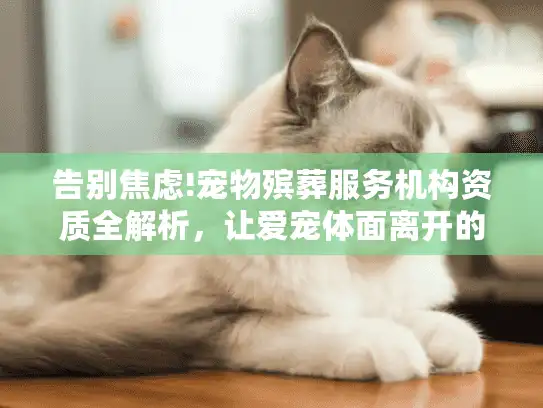 告别焦虑!宠物殡葬服务机构资质全解析，让爱宠体面离开的合法保障