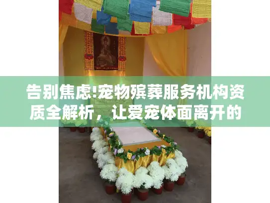 告别焦虑!宠物殡葬服务机构资质全解析，让爱宠体面离开的合法保障
