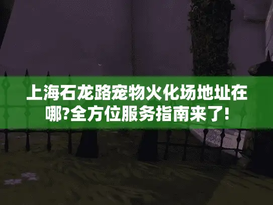 上海石龙路宠物火化场地址在哪?全方位服务指南来了!