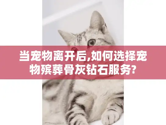 当宠物离开后,如何选择宠物殡葬骨灰钻石服务?
