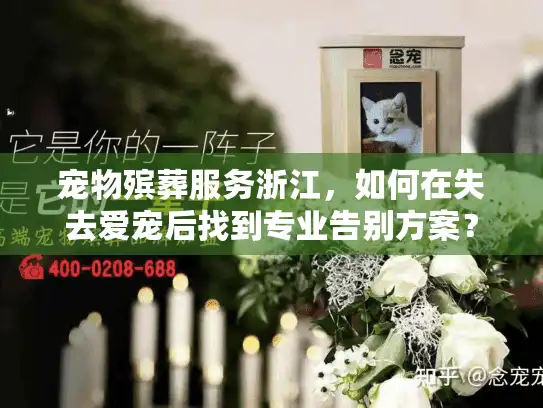 宠物殡葬服务浙江，如何在失去爱宠后找到专业告别方案？