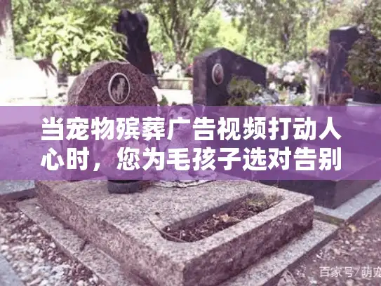 当宠物殡葬广告视频打动人心时，您为毛孩子选对告别方式了吗？