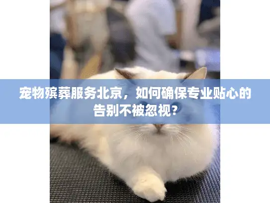宠物殡葬服务北京，如何确保专业贴心的告别不被忽视？