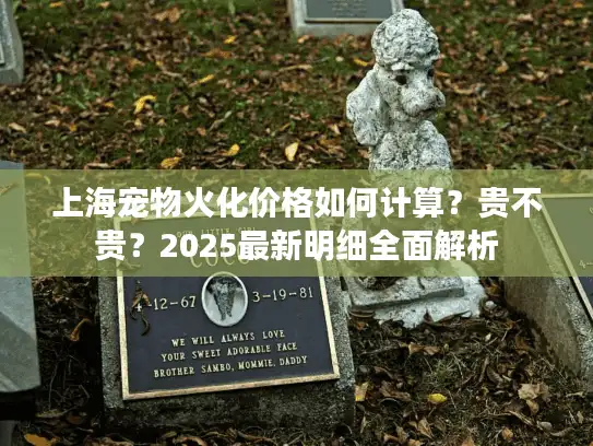 上海宠物火化价格如何计算？贵不贵？2025最新明细全面解析