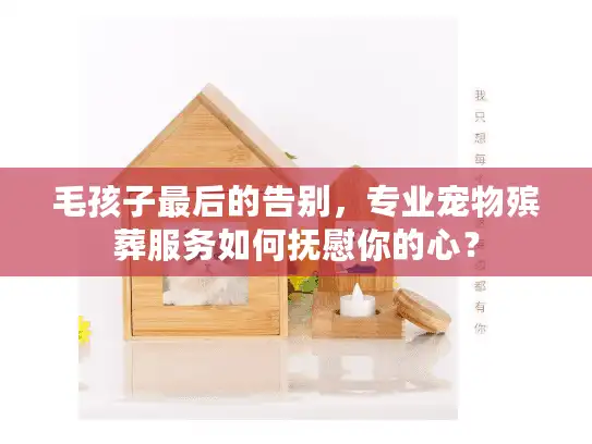毛孩子最后的告别，专业宠物殡葬服务如何抚慰你的心？