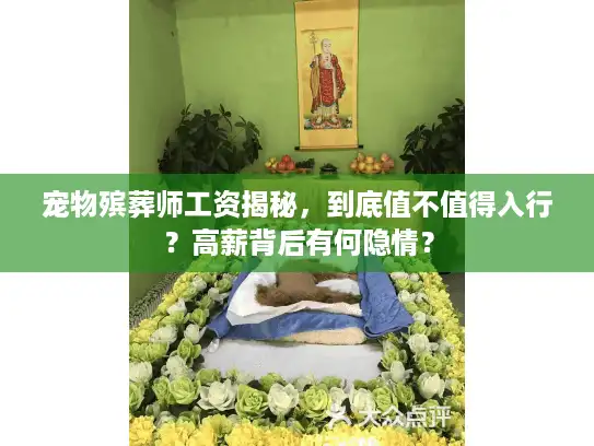 宠物殡葬师工资揭秘，到底值不值得入行？高薪背后有何隐情？