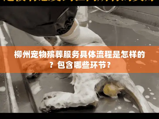 柳州宠物殡葬服务具体流程是怎样的？包含哪些环节？