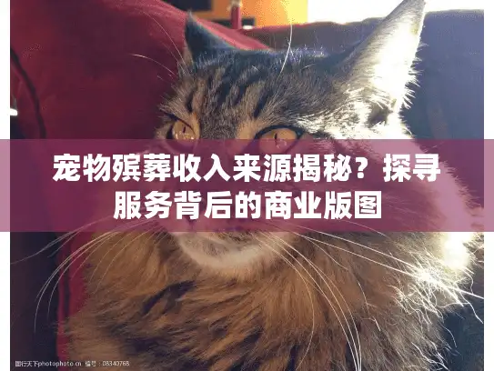 宠物殡葬收入来源揭秘？探寻服务背后的商业版图