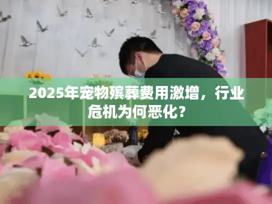 2025年宠物殡葬费用激增，行业危机为何恶化？