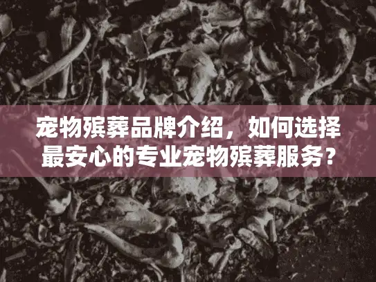 宠物殡葬品牌介绍，如何选择最安心的专业宠物殡葬服务？