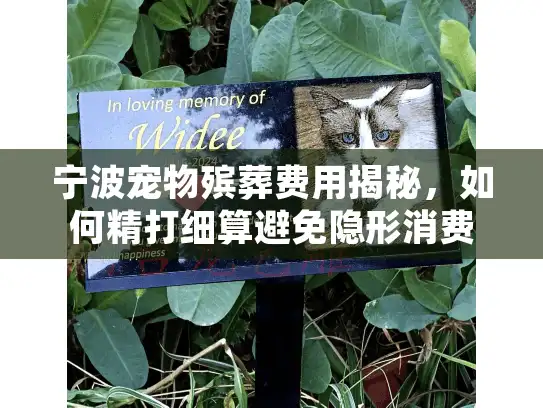 宁波宠物殡葬费用揭秘，如何精打细算避免隐形消费陷阱？