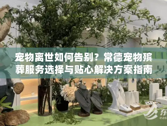 宠物离世如何告别？常德宠物殡葬服务选择与贴心解决方案指南