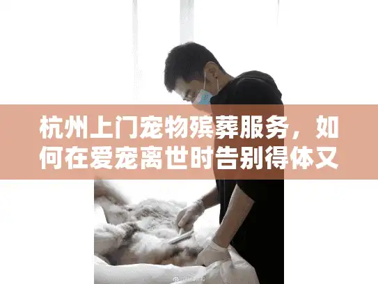 杭州上门宠物殡葬服务，如何在爱宠离世时告别得体又省心？