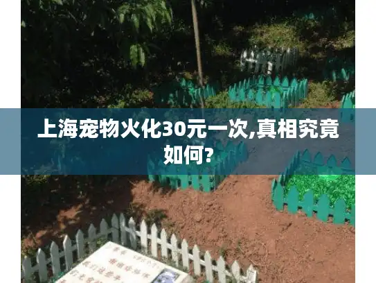 上海宠物火化30元一次,真相究竟如何?